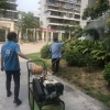 消殺案例