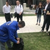消殺案例