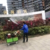 消殺案例