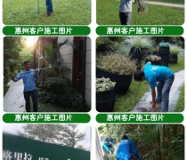 蛇患知識培訓(xùn)
